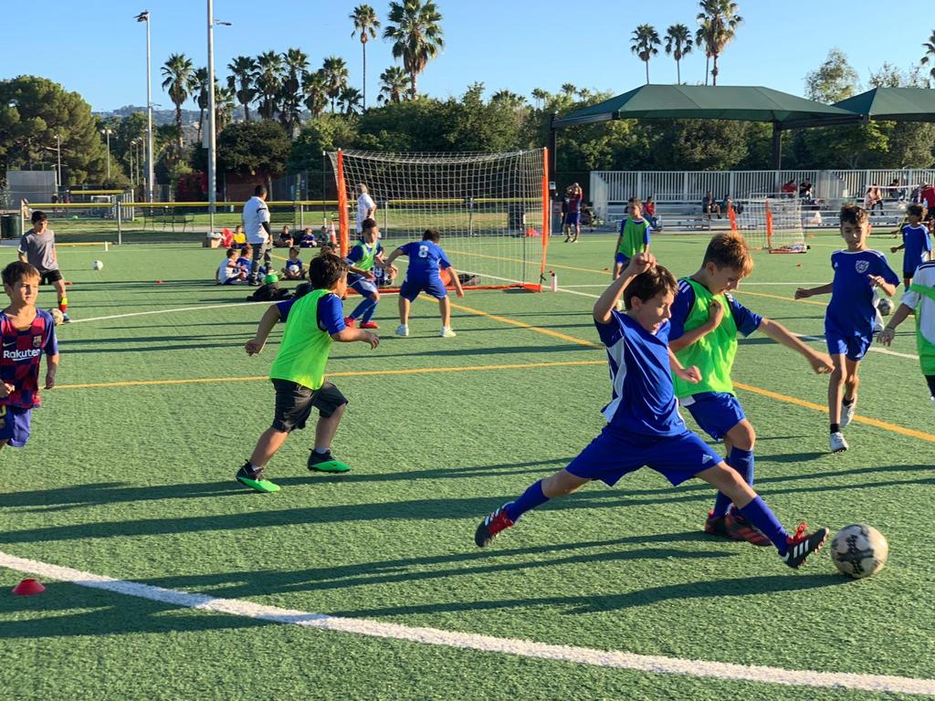 Read more about the article How to Build Soccer IQ